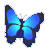 butterflyblue